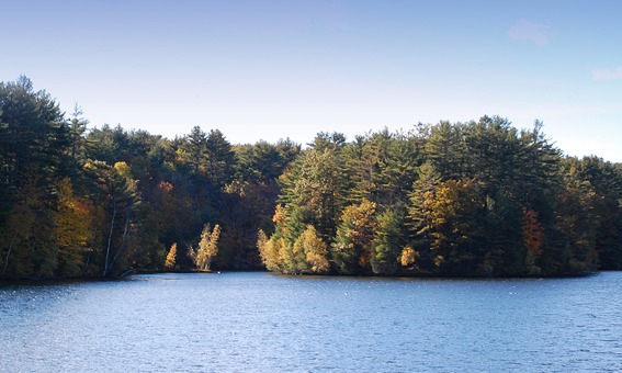 Stewarts Pond