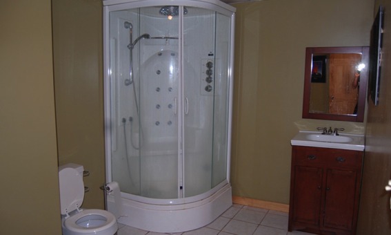 Downstairs Bathroom with European Spa Shower