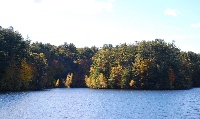 Stewarts Pond