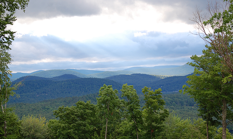 View from the Great Room